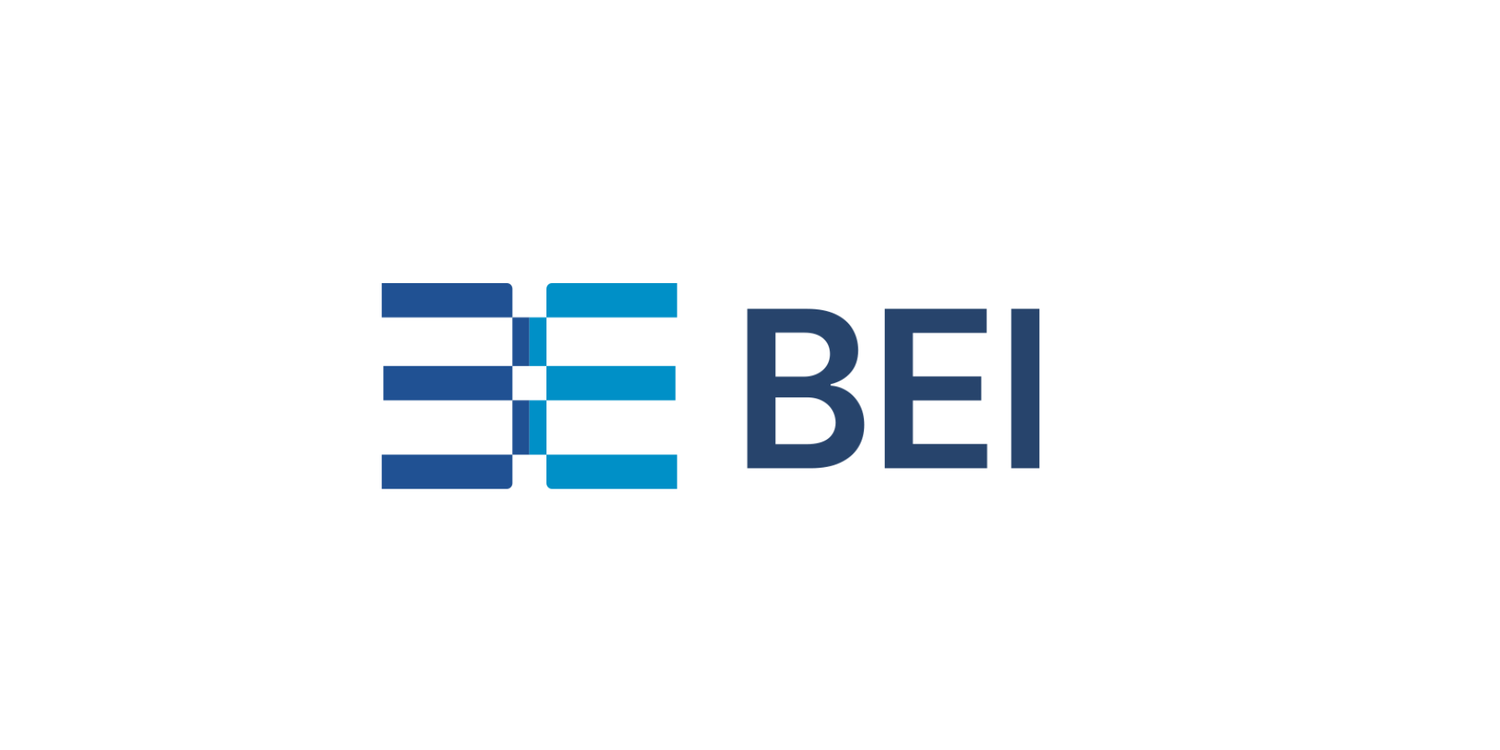 Beyond Energy Innovation (BEI)